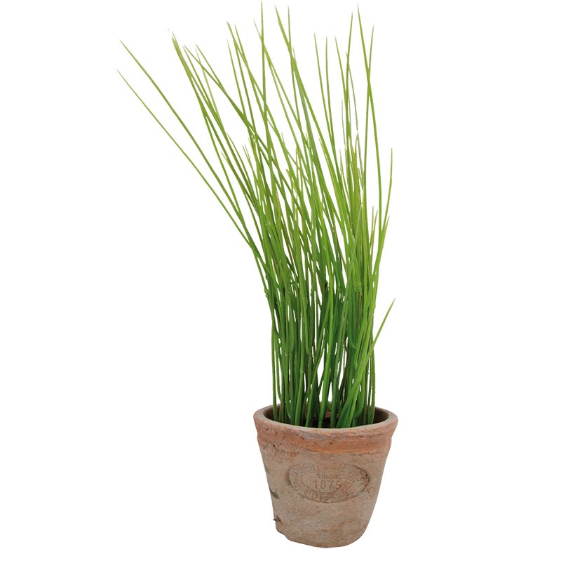 AH005