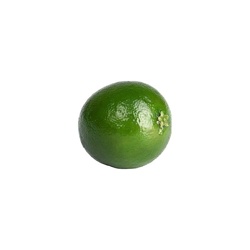 AH028