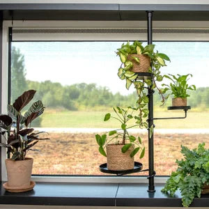 2023 Garden