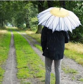 2023 Umbrellas & Stands