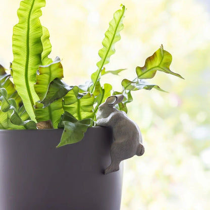 37000647