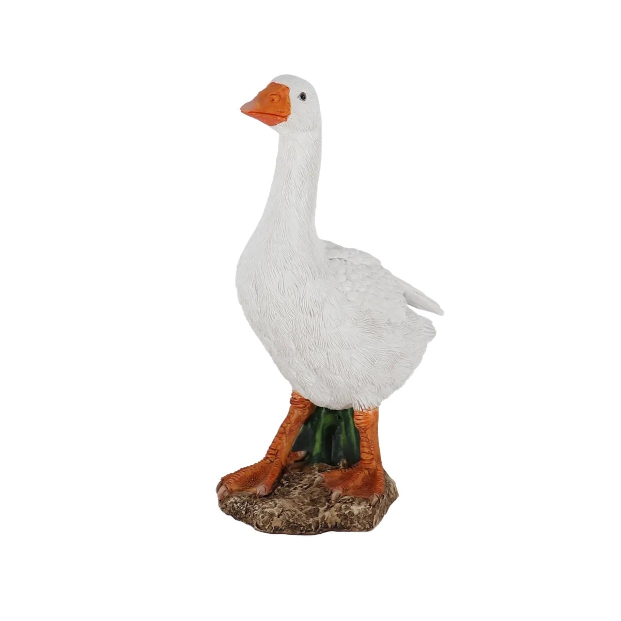 37000694