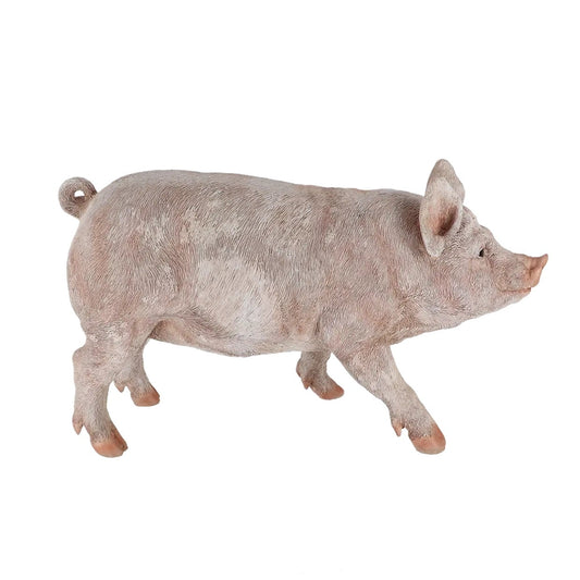 37000697