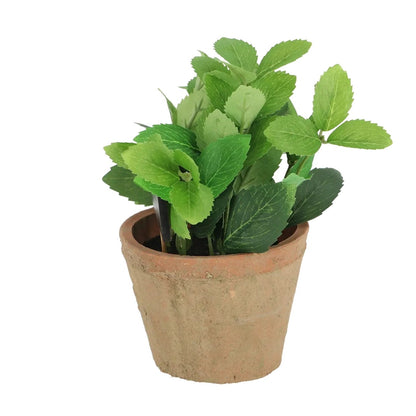 AH004