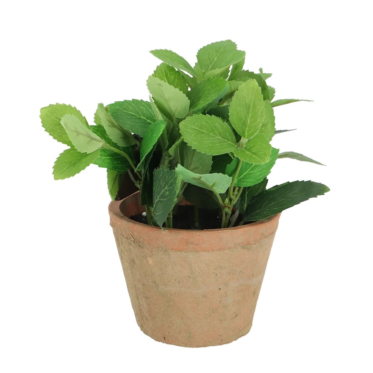 AH004