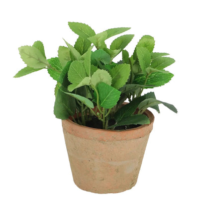 AH004