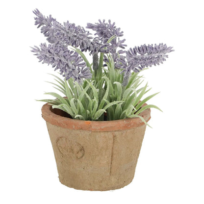 AH009
