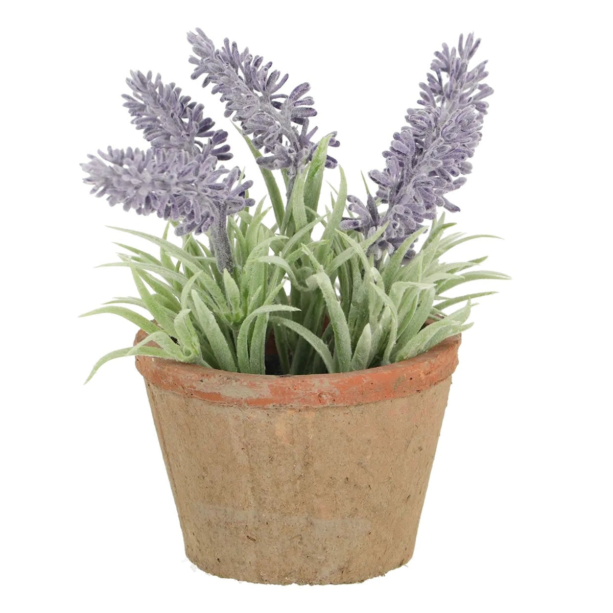 AH009