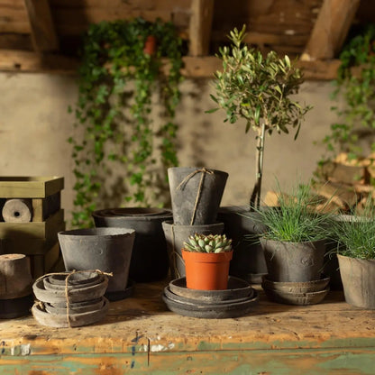 AT32