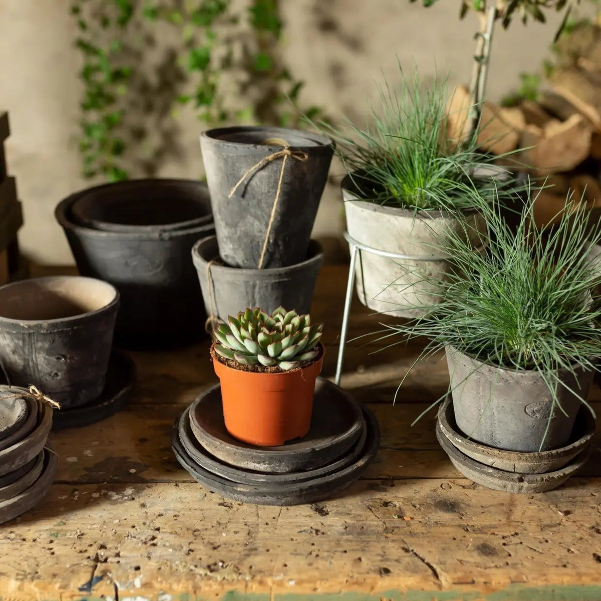 AT46