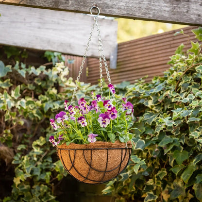 BPH127