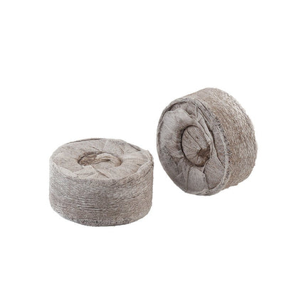 GT259