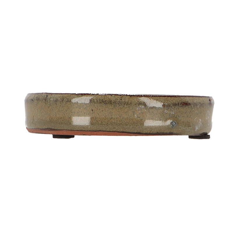 PP031