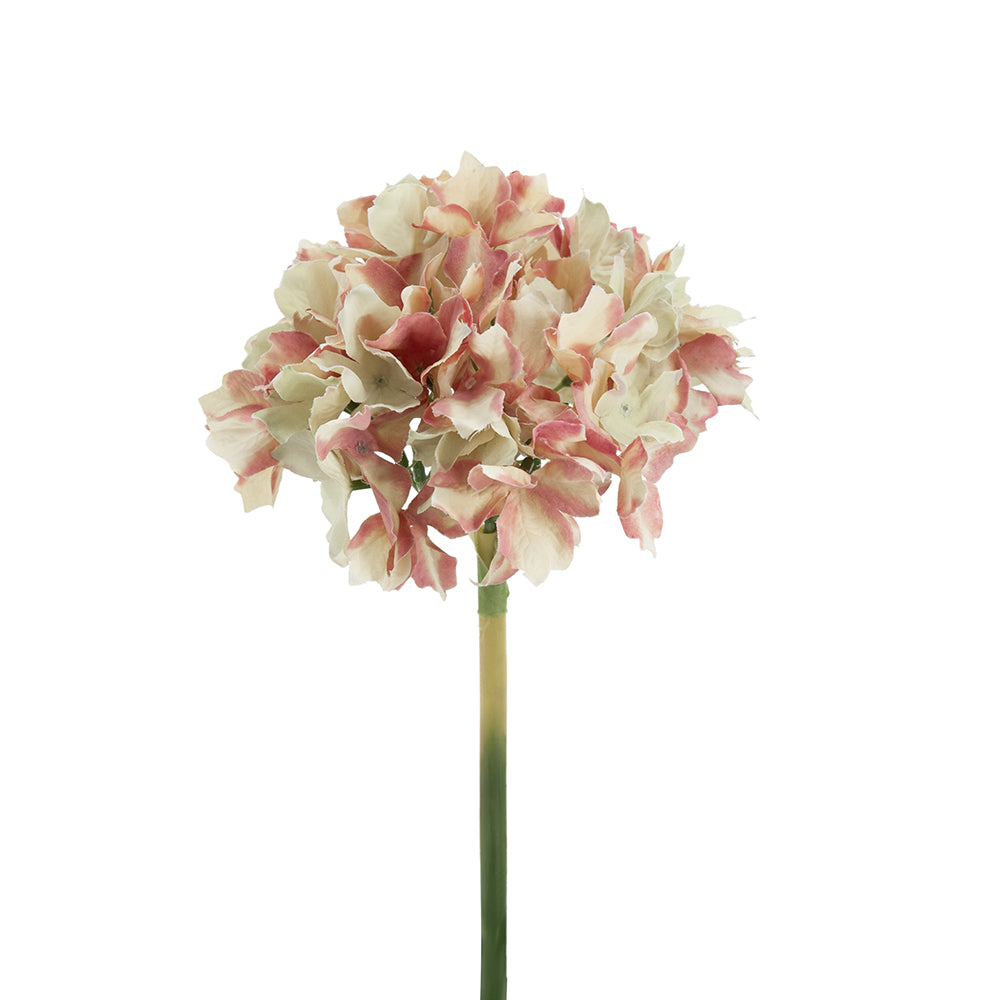 SE-58148-PINK