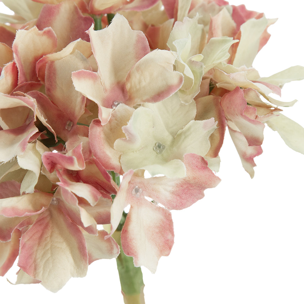 SE-58148-PINK
