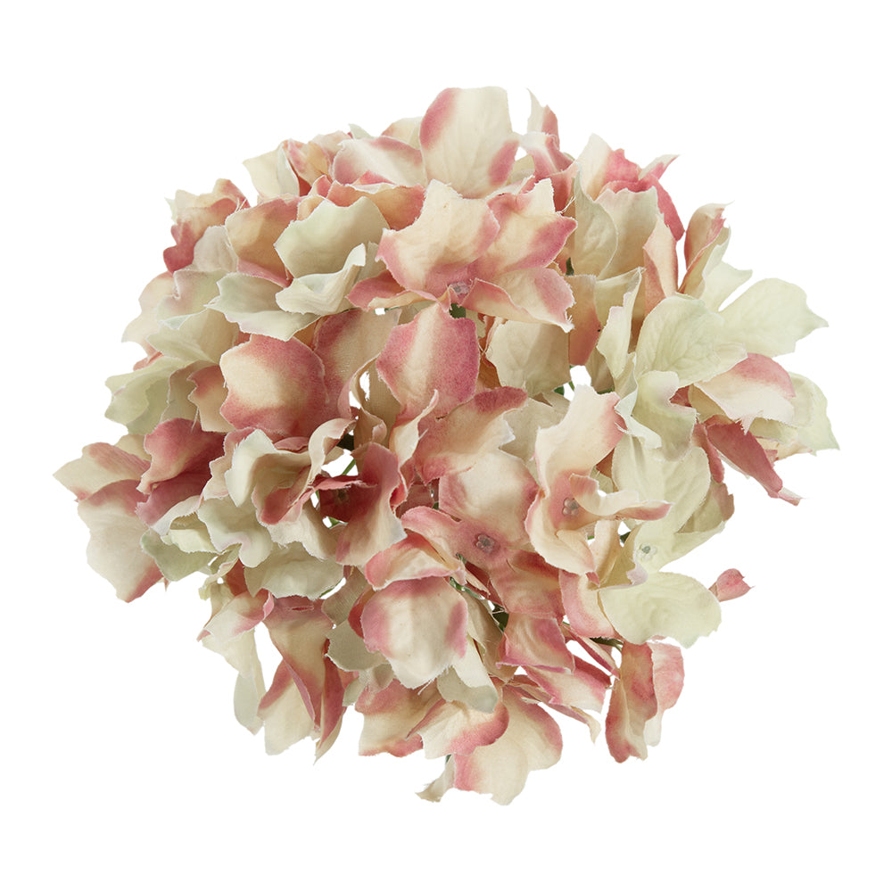 SE-58148-PINK