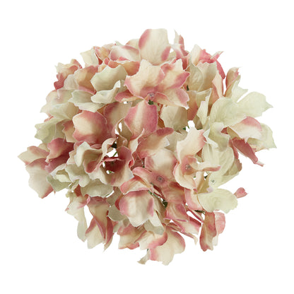 SE-58148-PINK