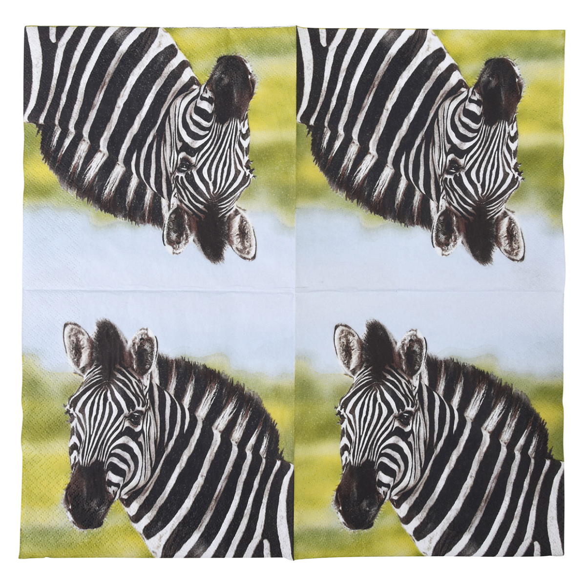 TP281