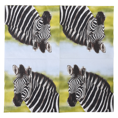 TP281