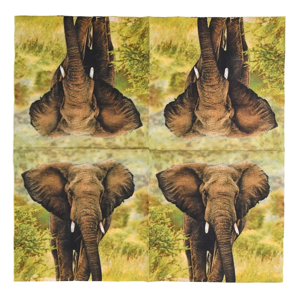 TP283