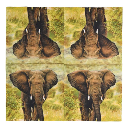 TP283