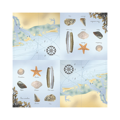 TP358