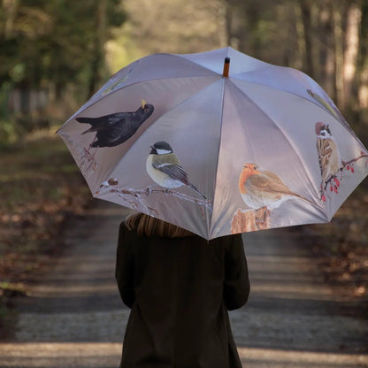 TP387