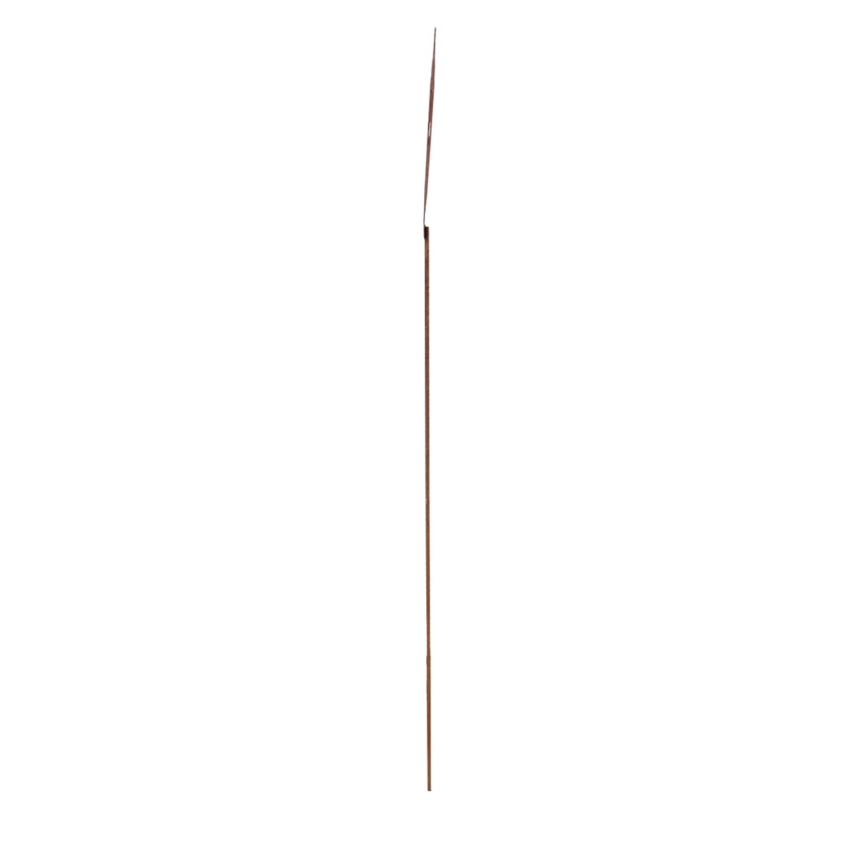 TT302