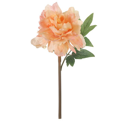 SE-59997-CORA