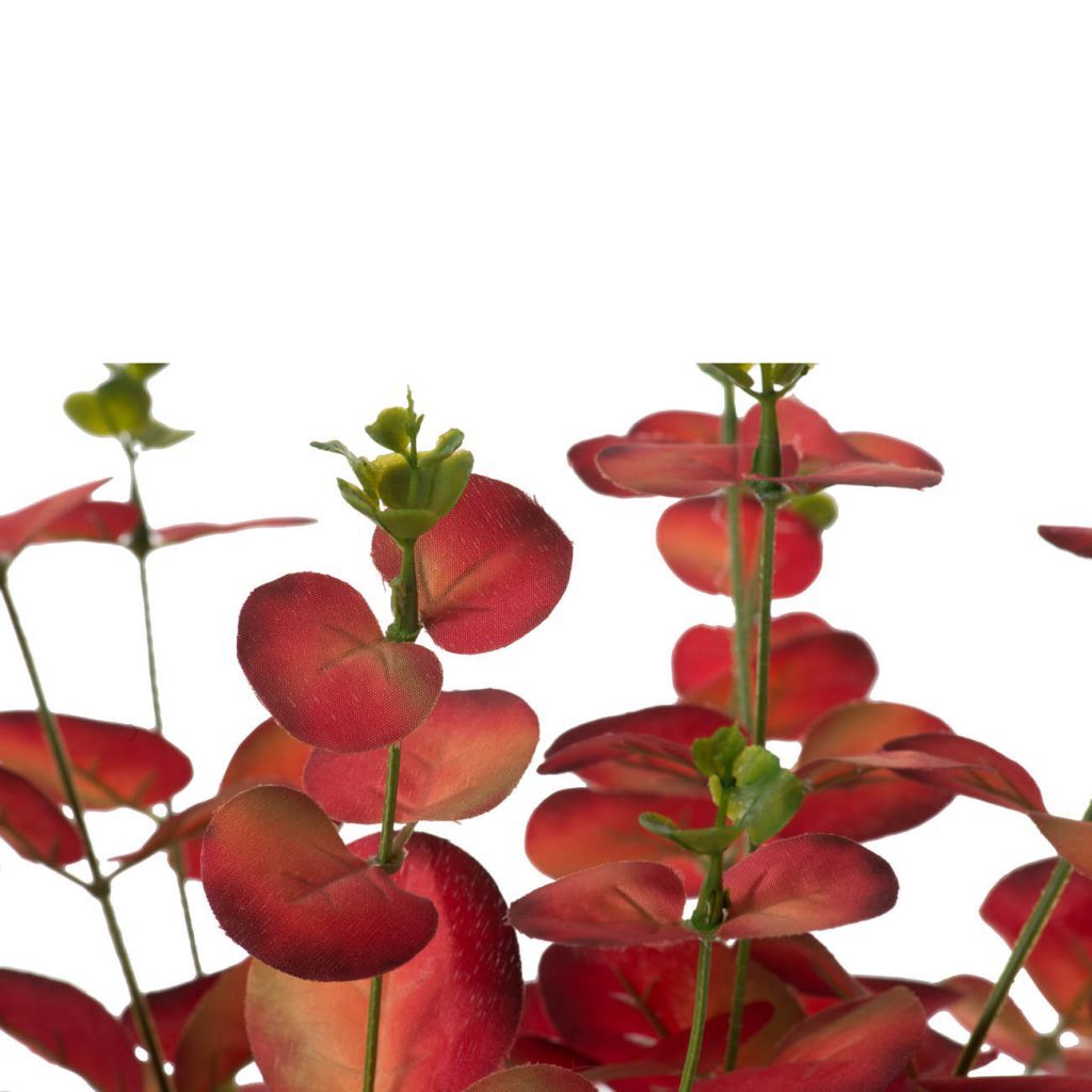 SE-F4691-RED