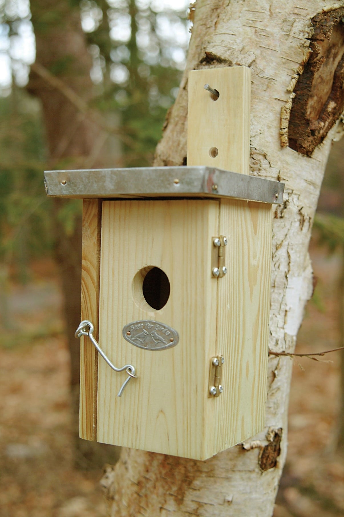 Nest Box Wren Pinewood Zinc North American Country Home 3481