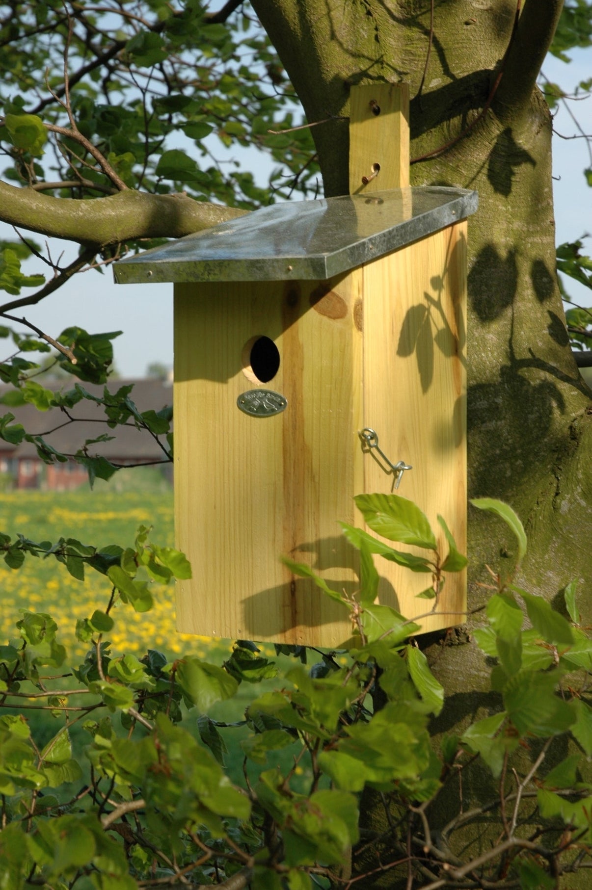 Nest Box Observation Pine Wood Zinc North American Country Home 8052